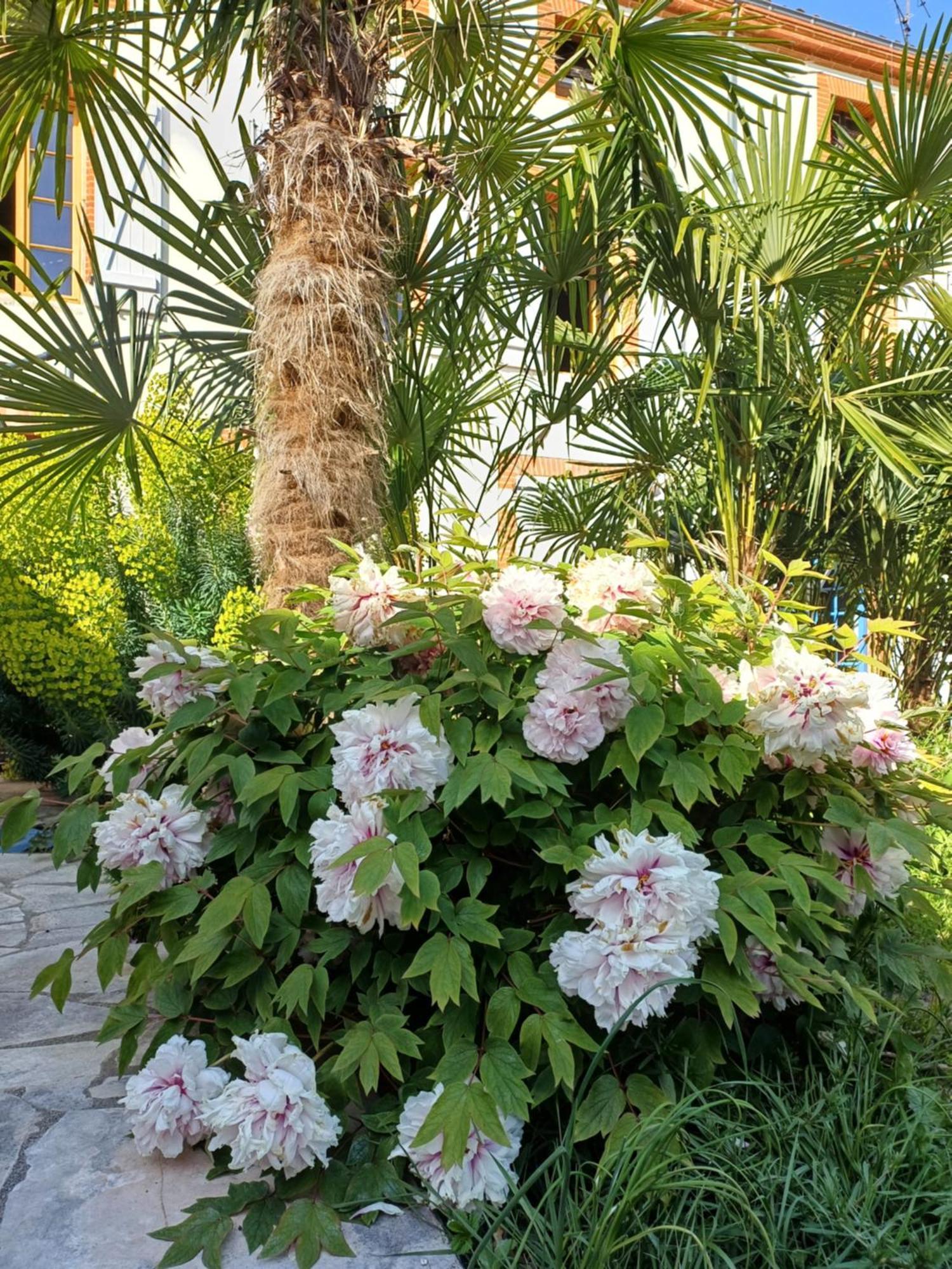 Le Relais De Lezat Hotel Bagian luar foto
